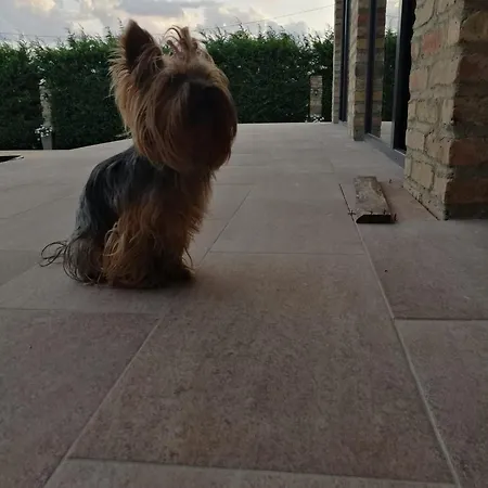 Our Favorite House